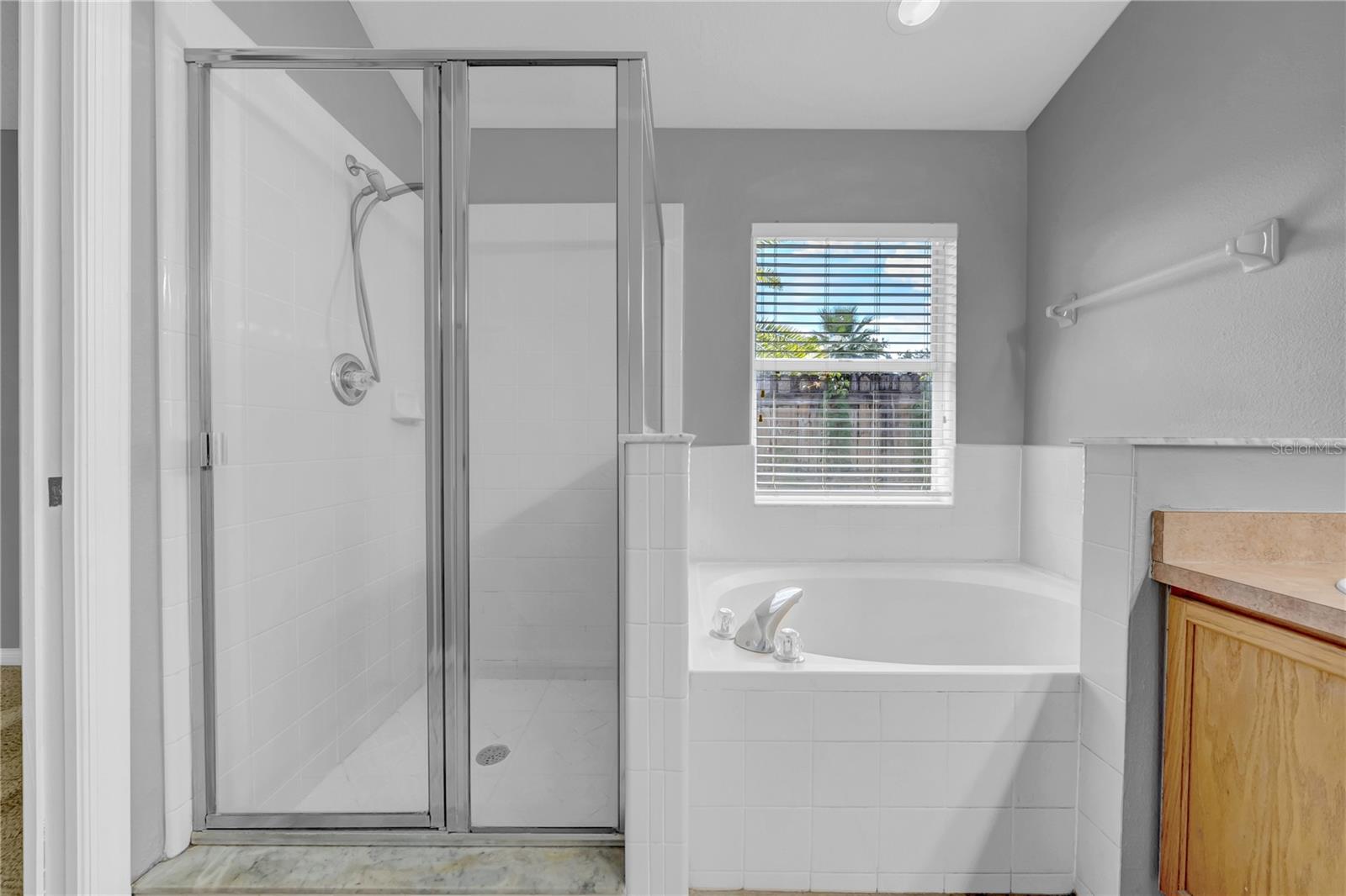 Master Bathroom Standup shower andgarden tub