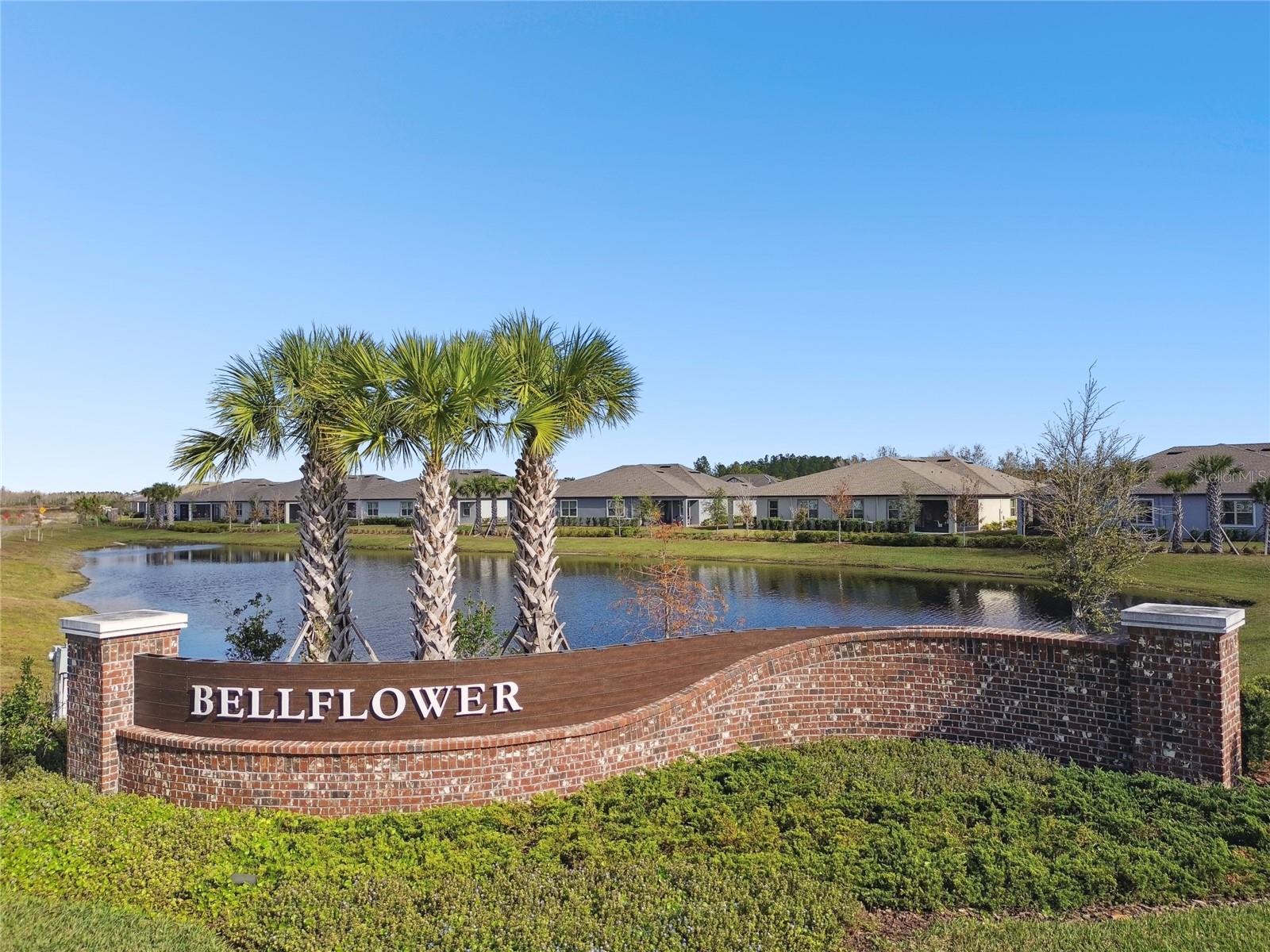 Towns of Bellflower
