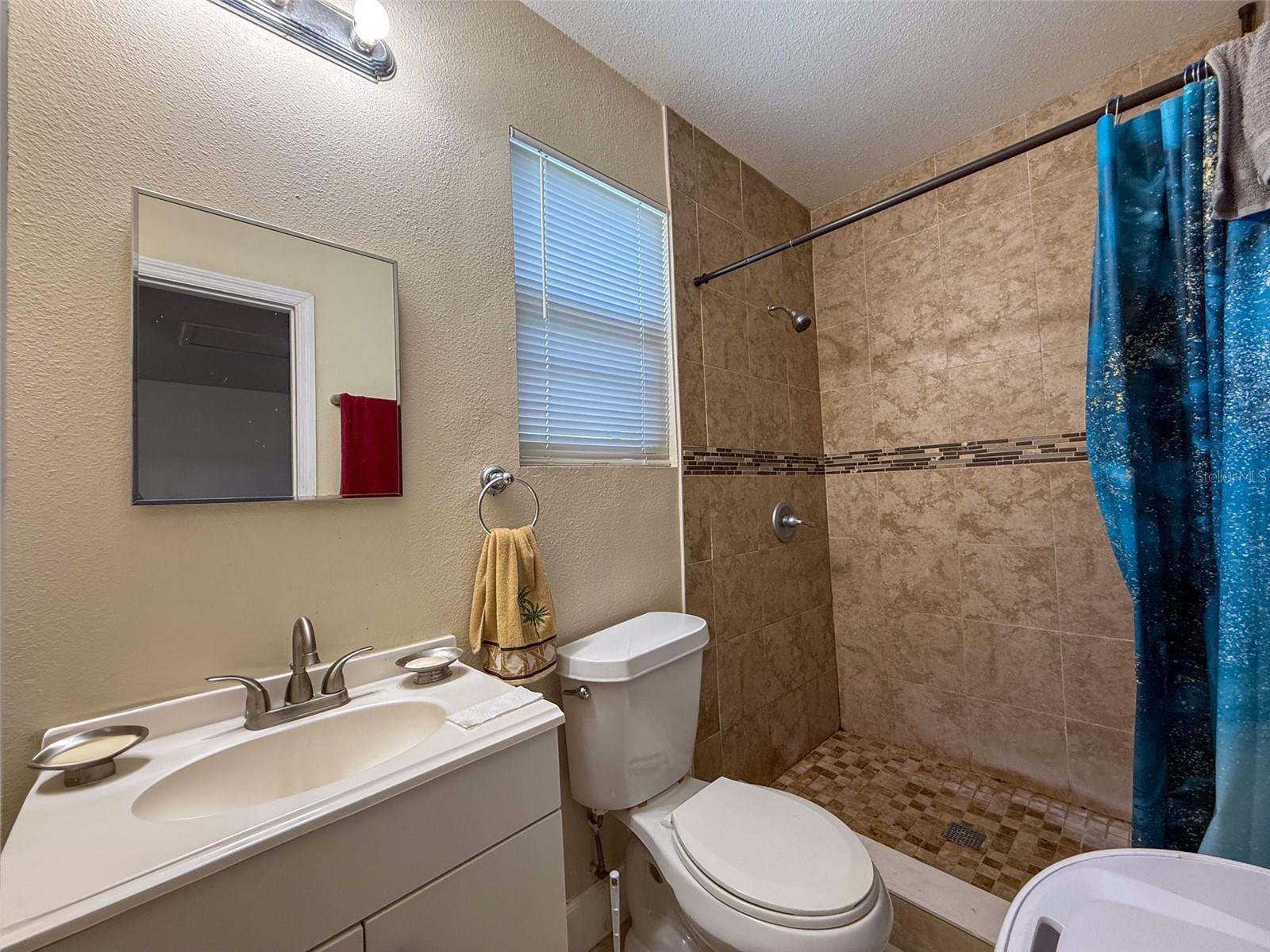 IN-LAW SUITE BATHROOM
