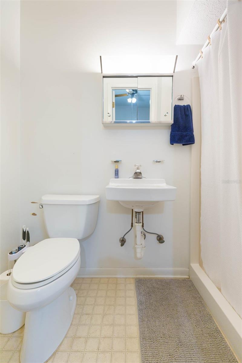 Guest bath 3