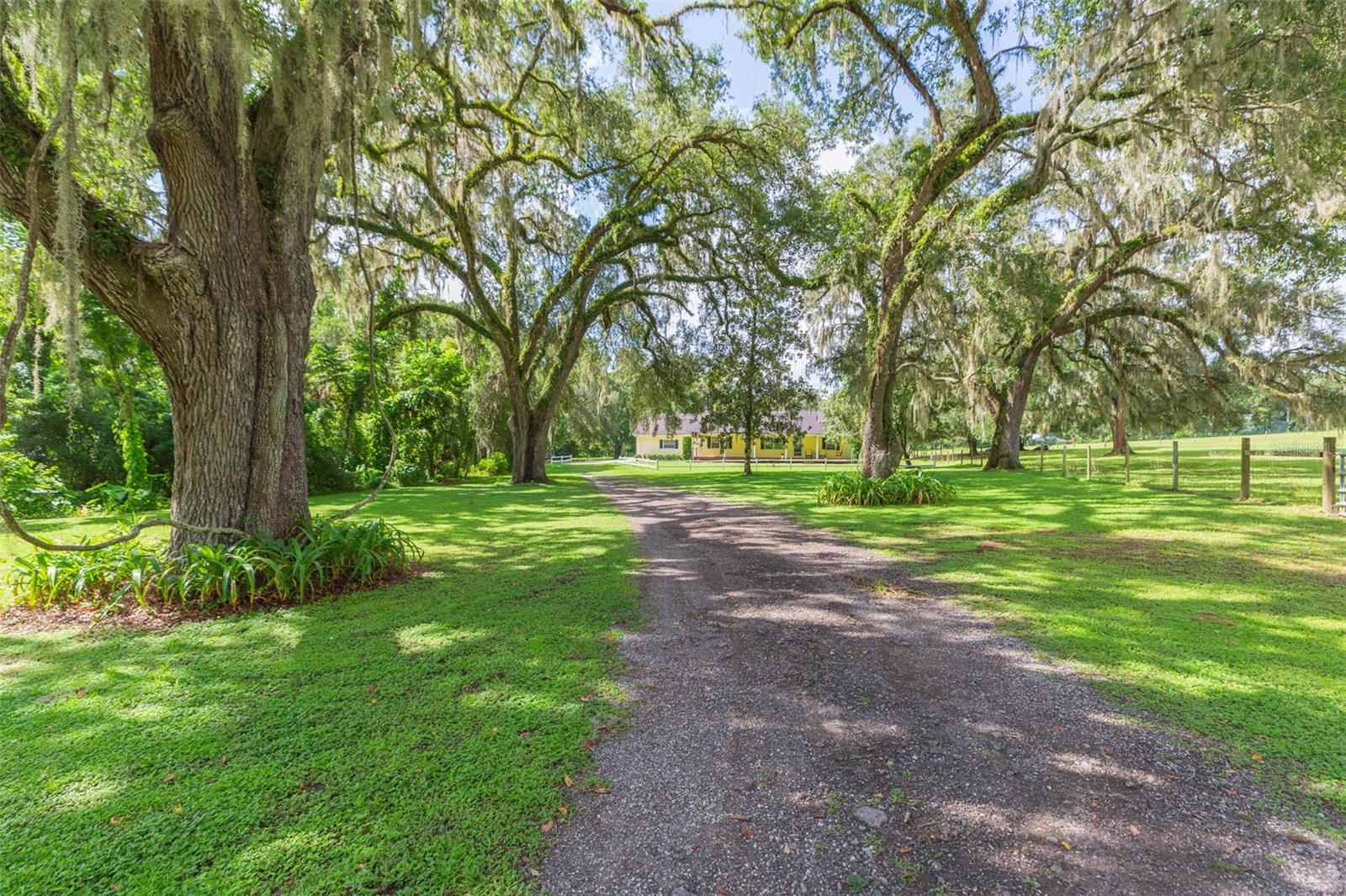 Driveway