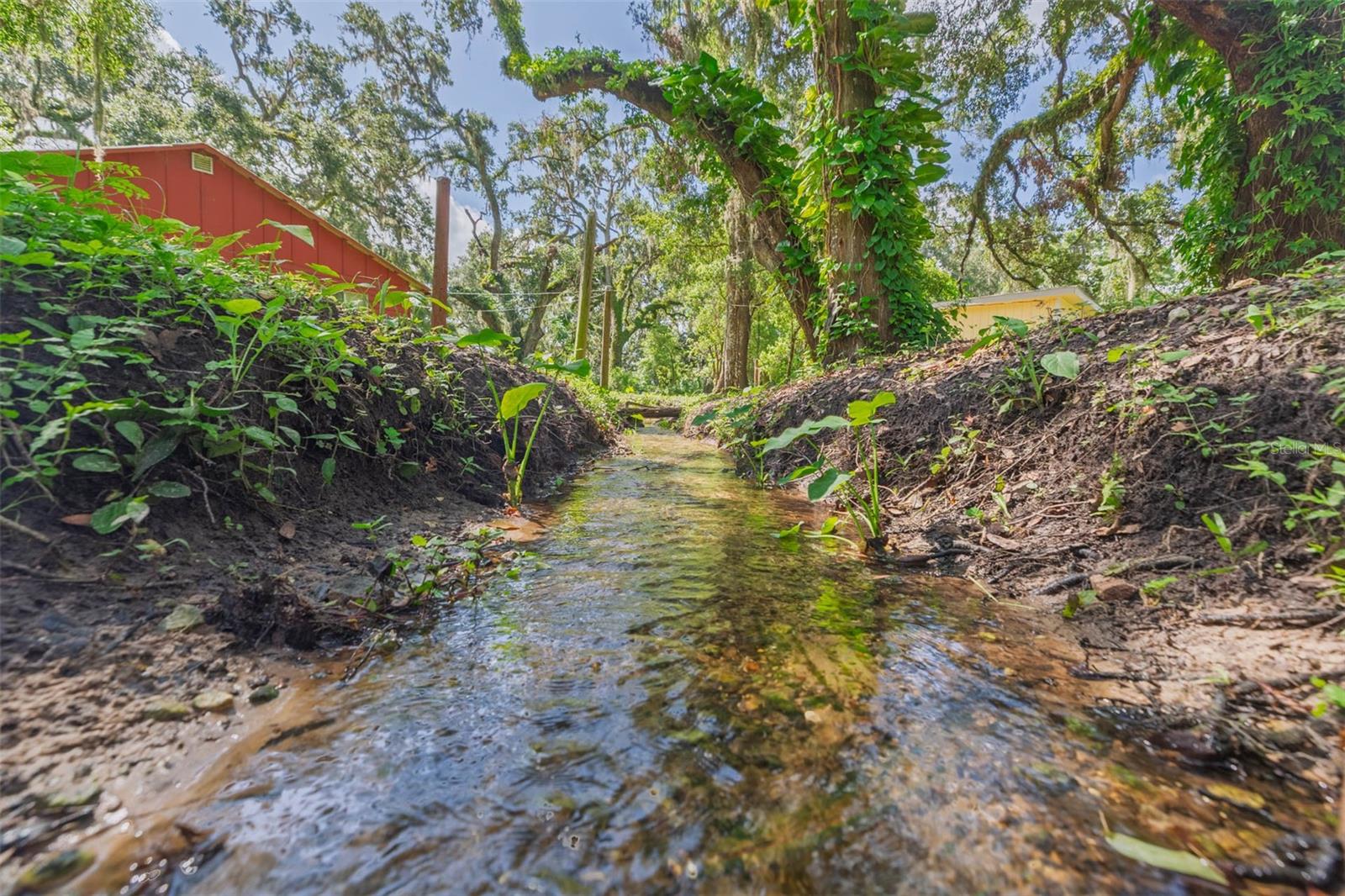 Clear water creek