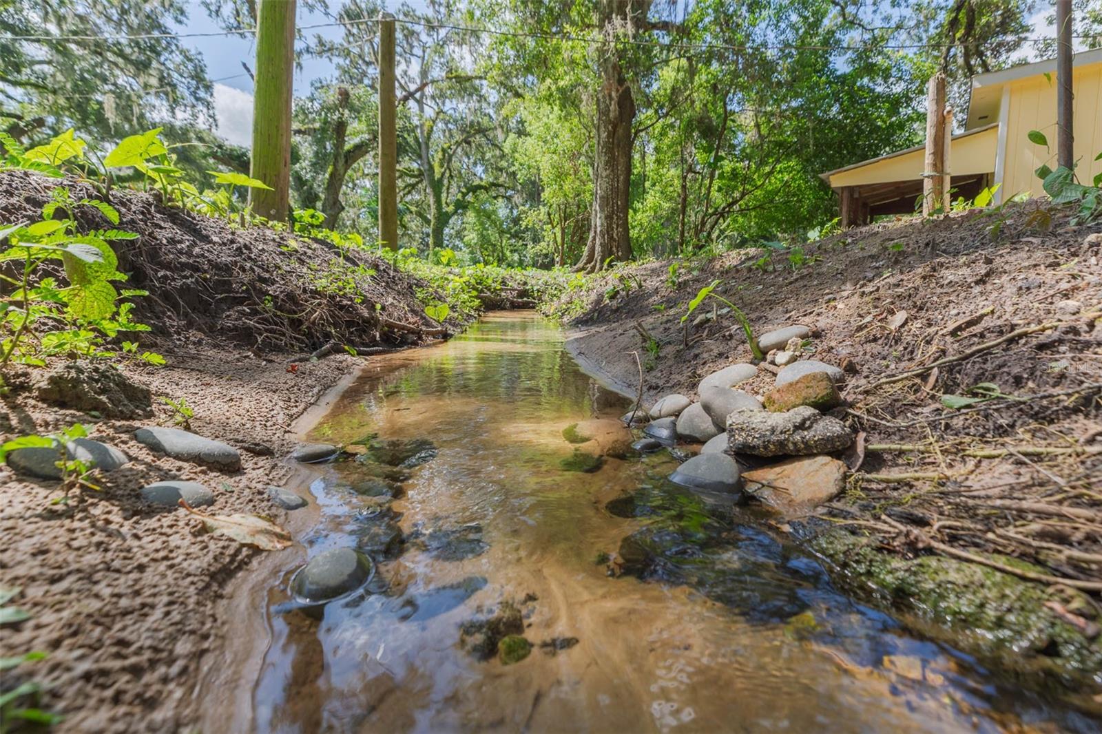 Clear water creek