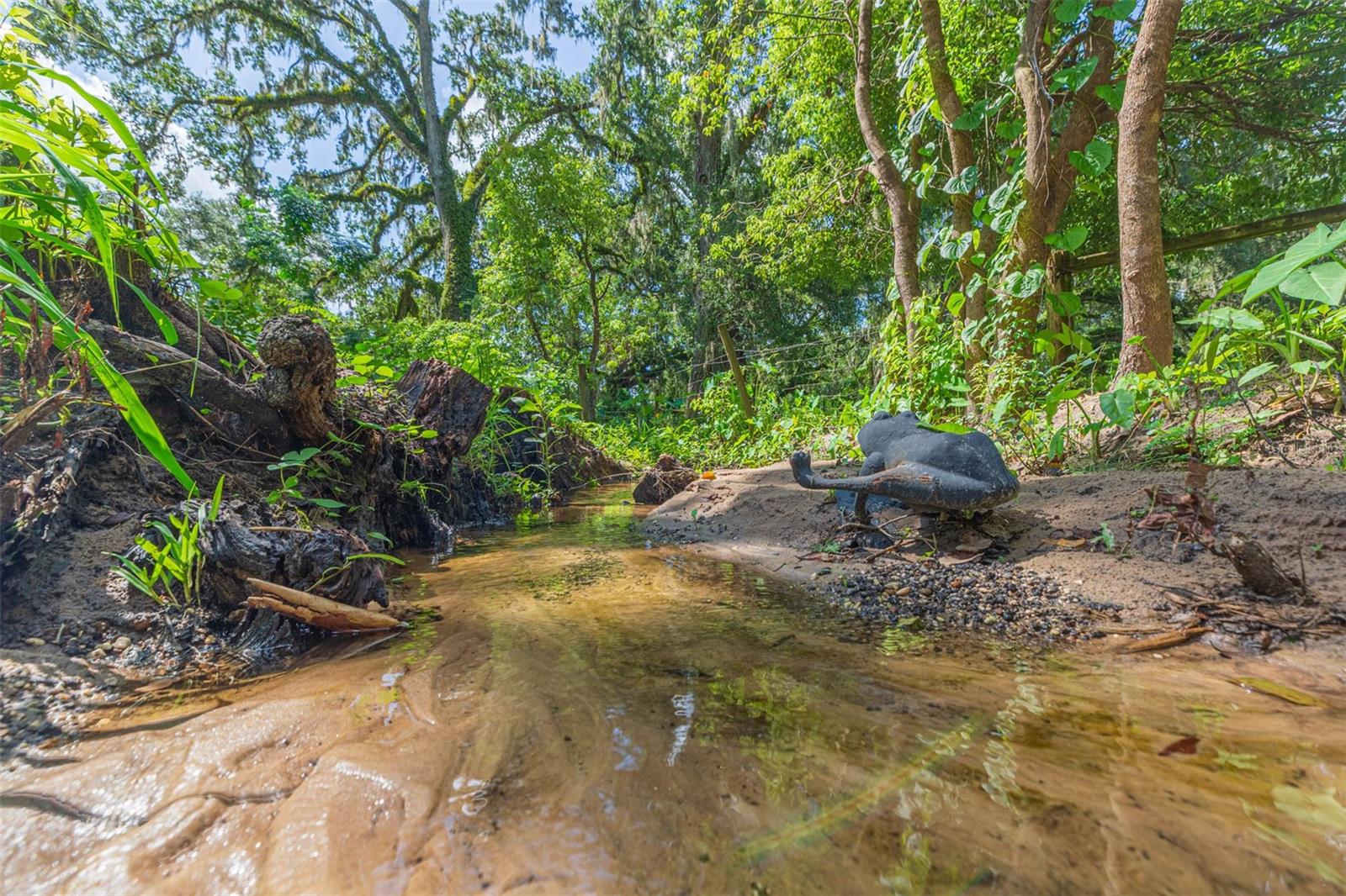 Clear water creek