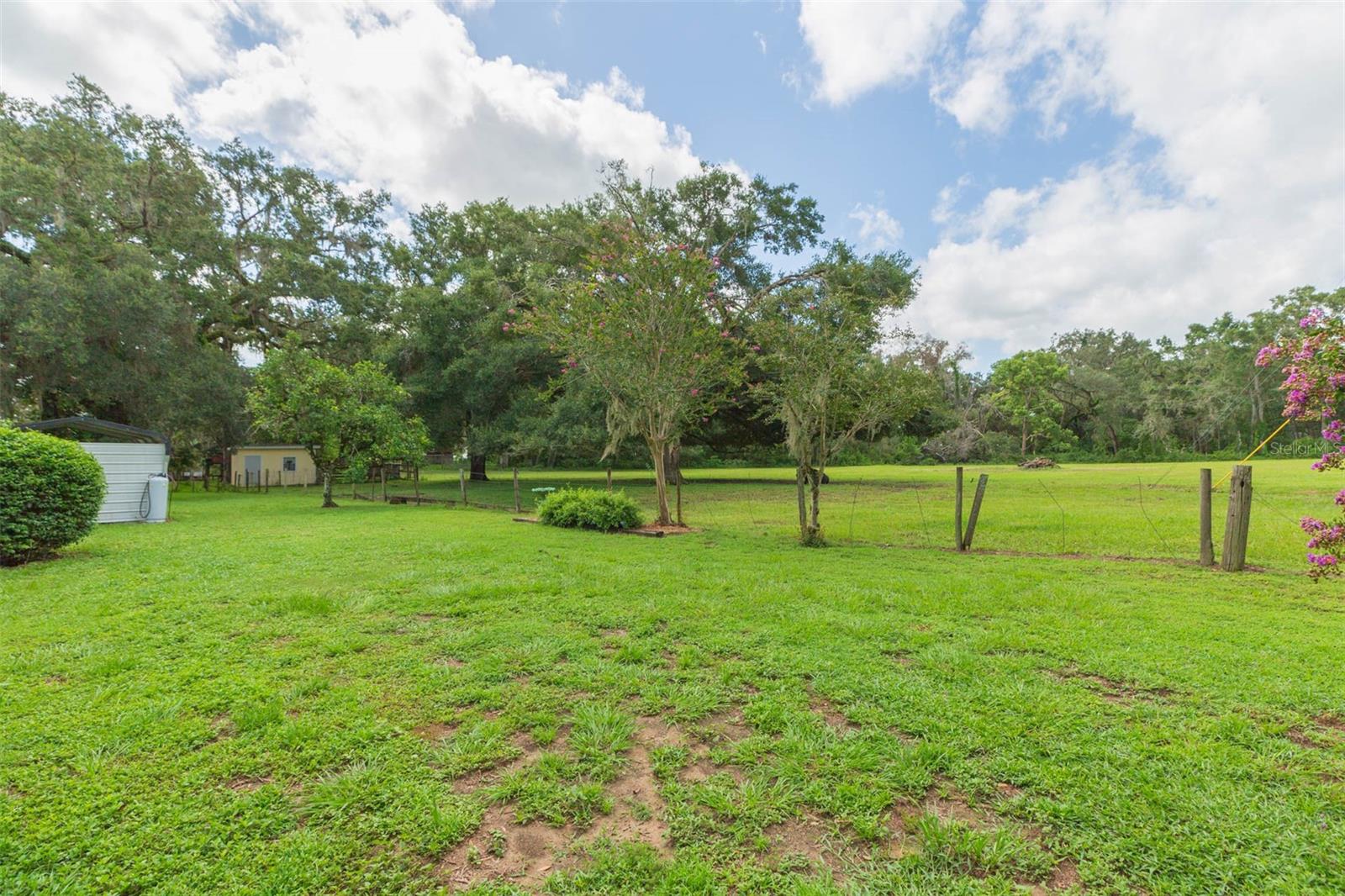 Pasture view