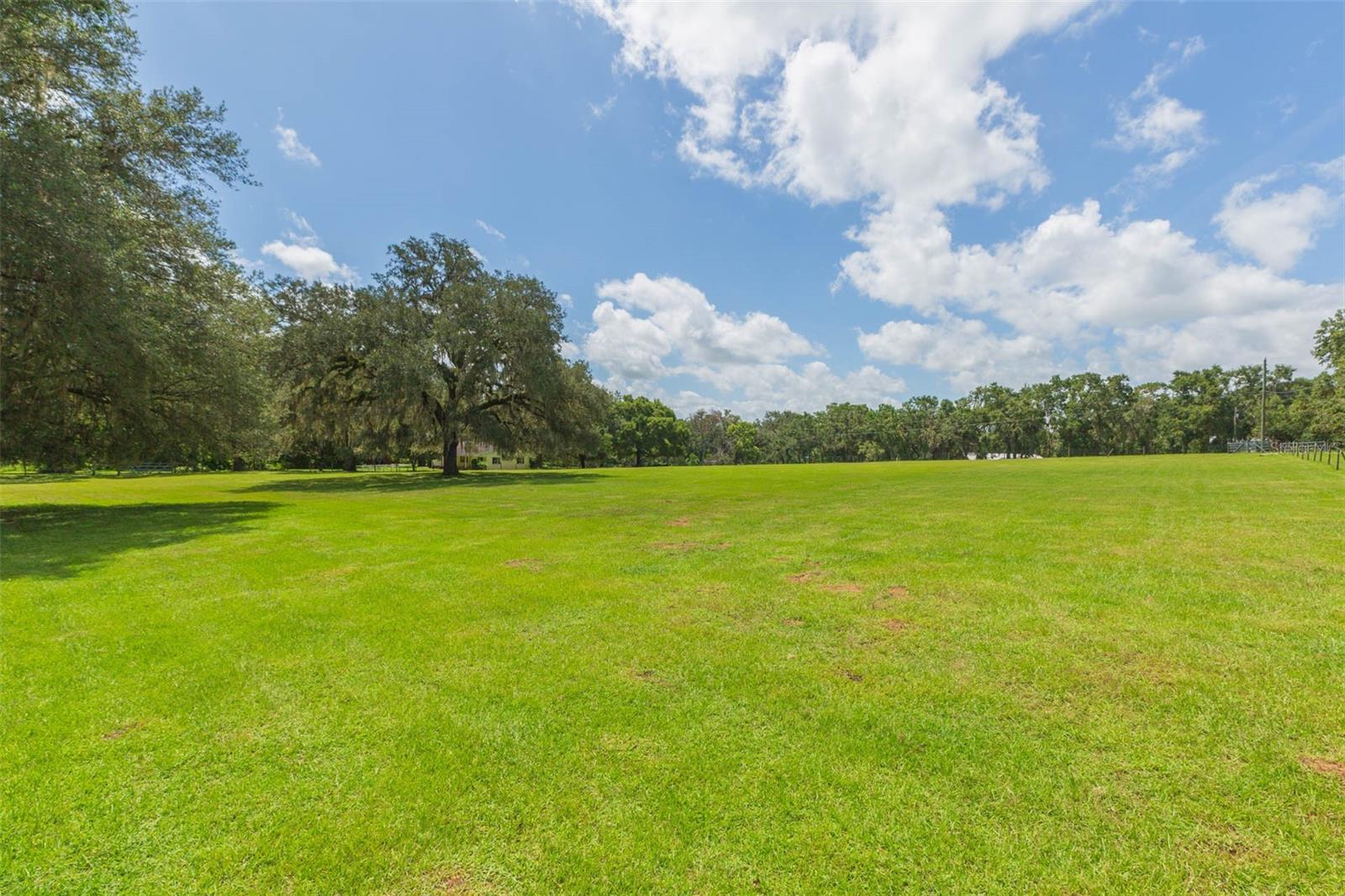 Pasture view