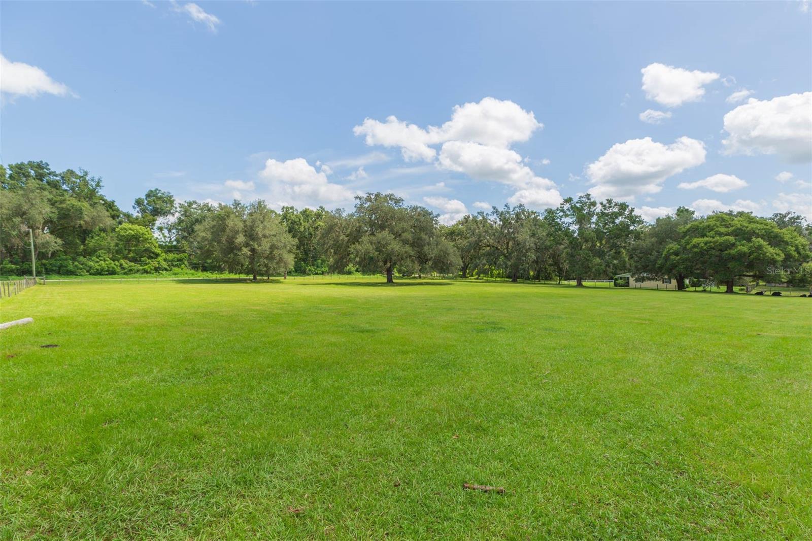 Pasture view