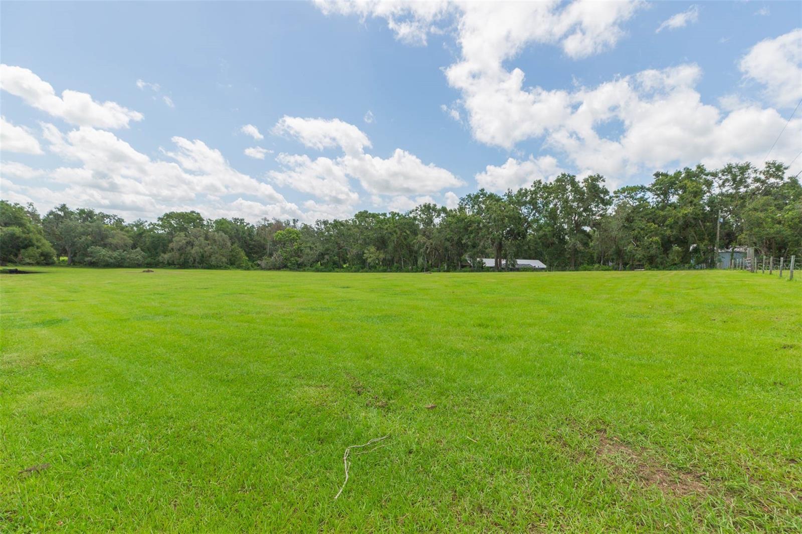 Pasture view
