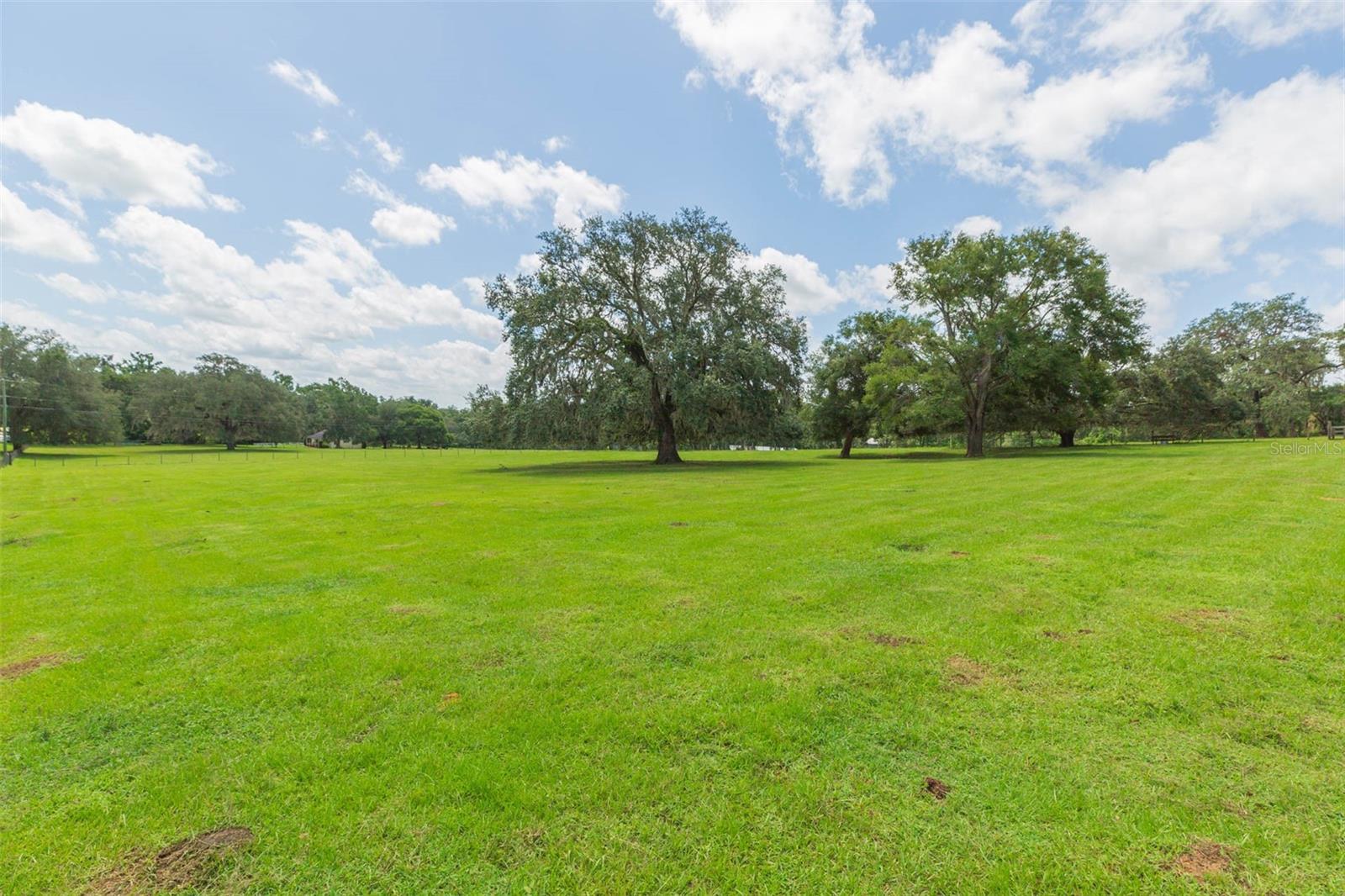 Pasture view