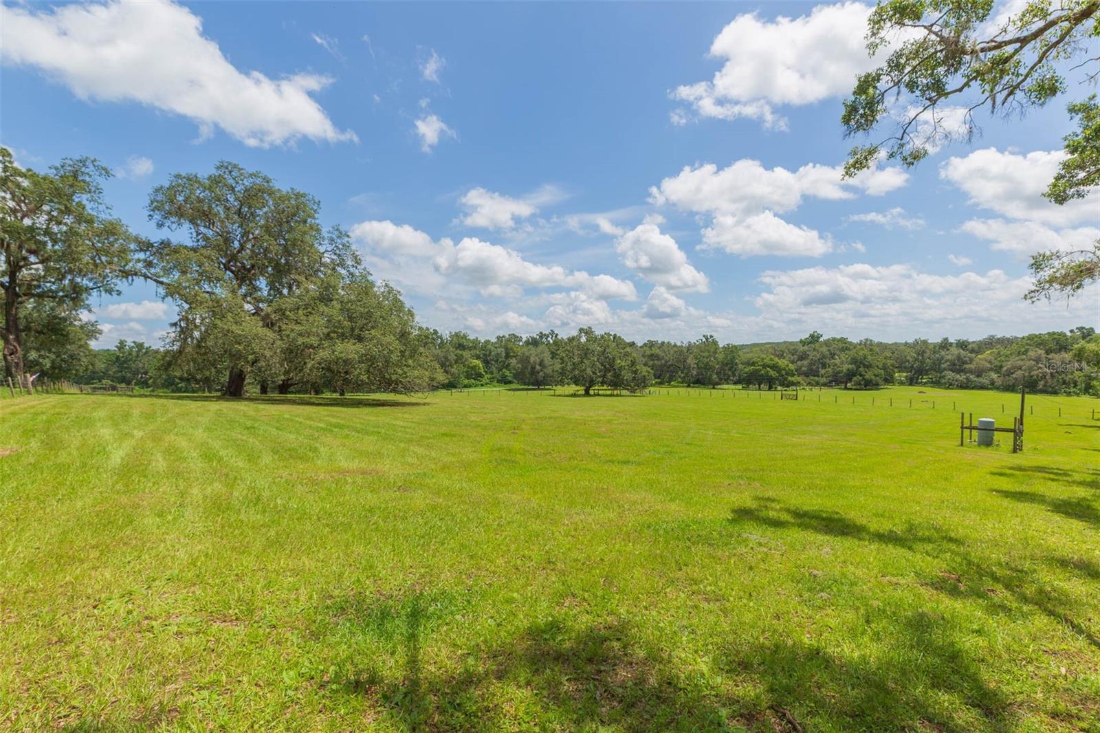Pasture view