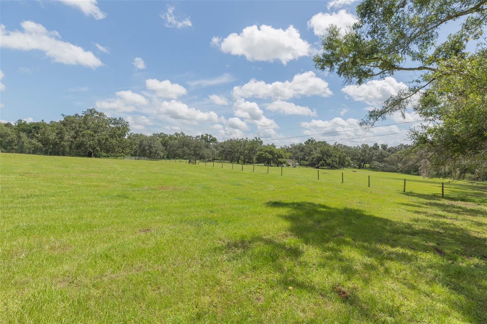 Pasture view