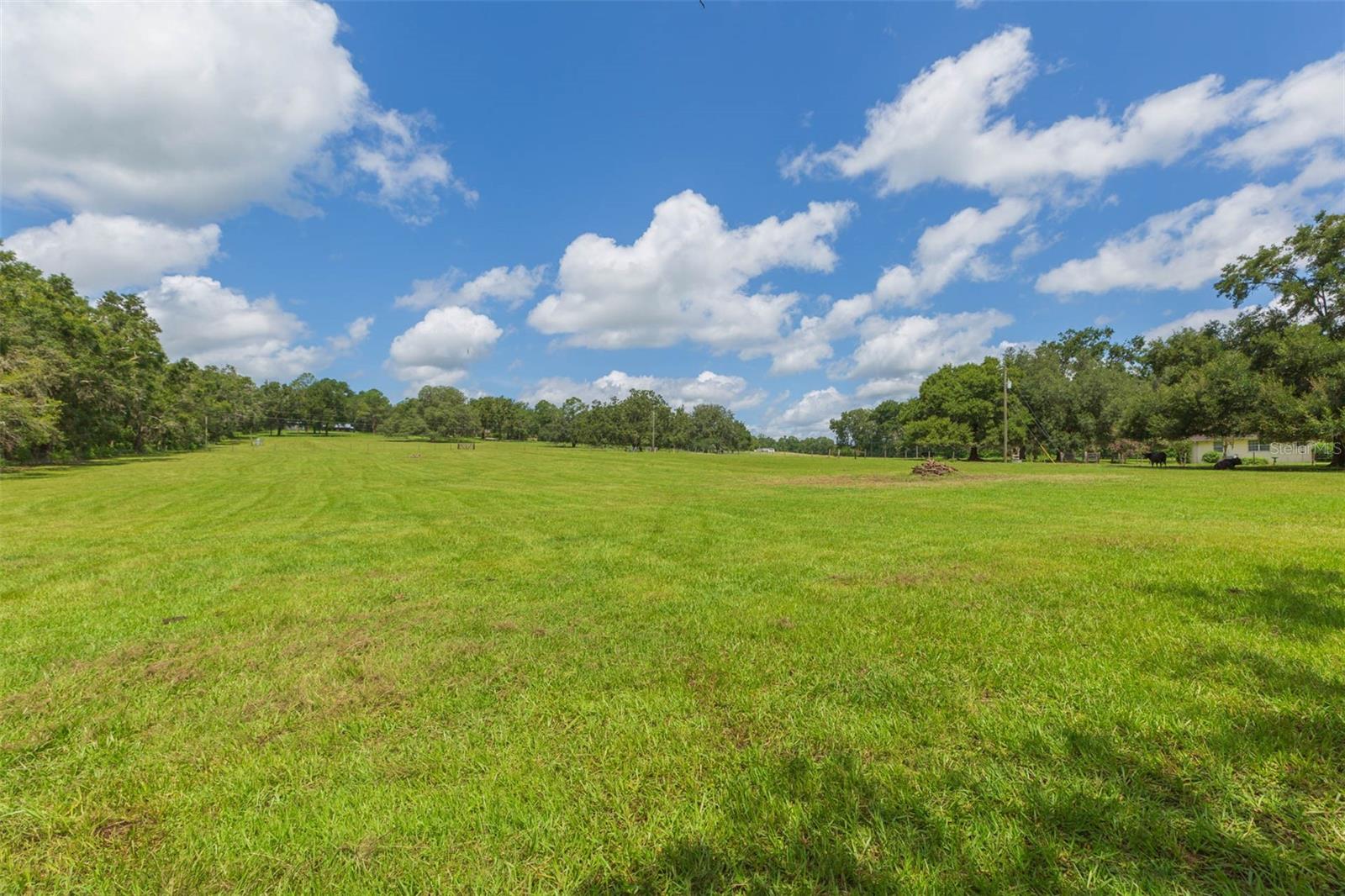 Pasture view
