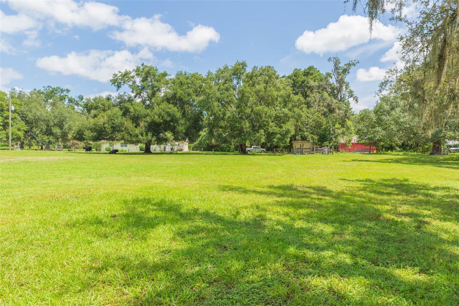 Pasture view