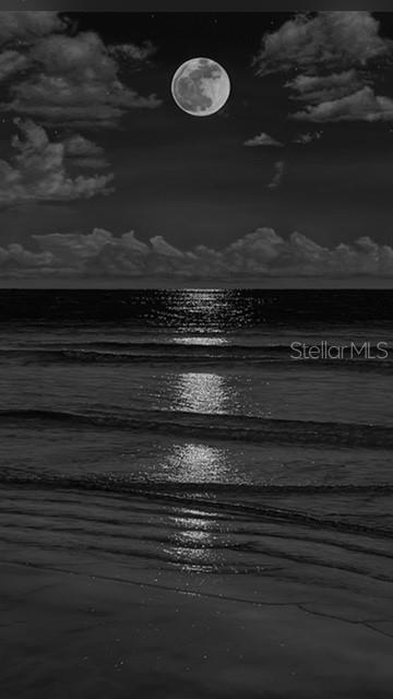 MOON LIGHT