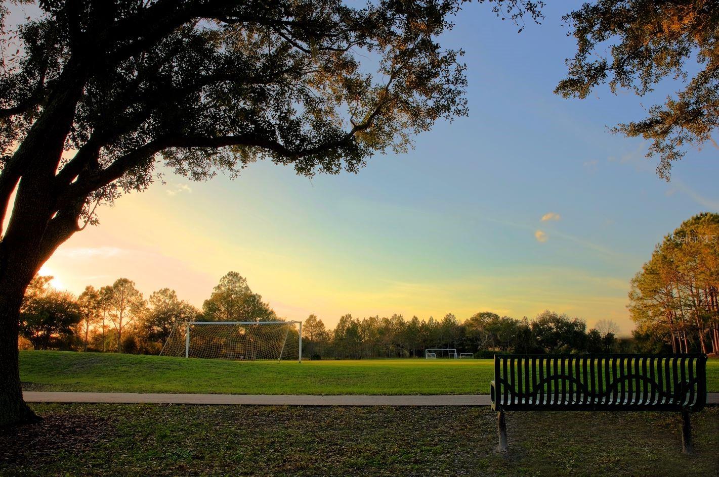 Soccer Fields