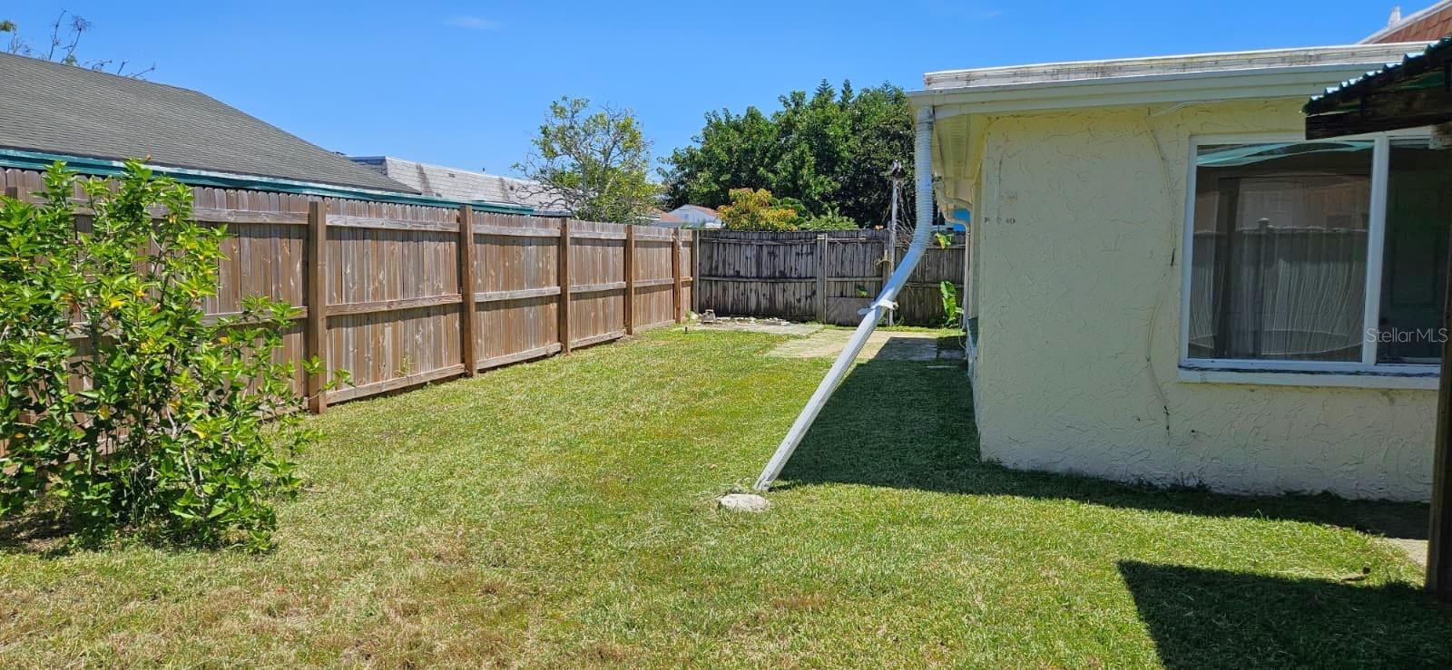 Back yard