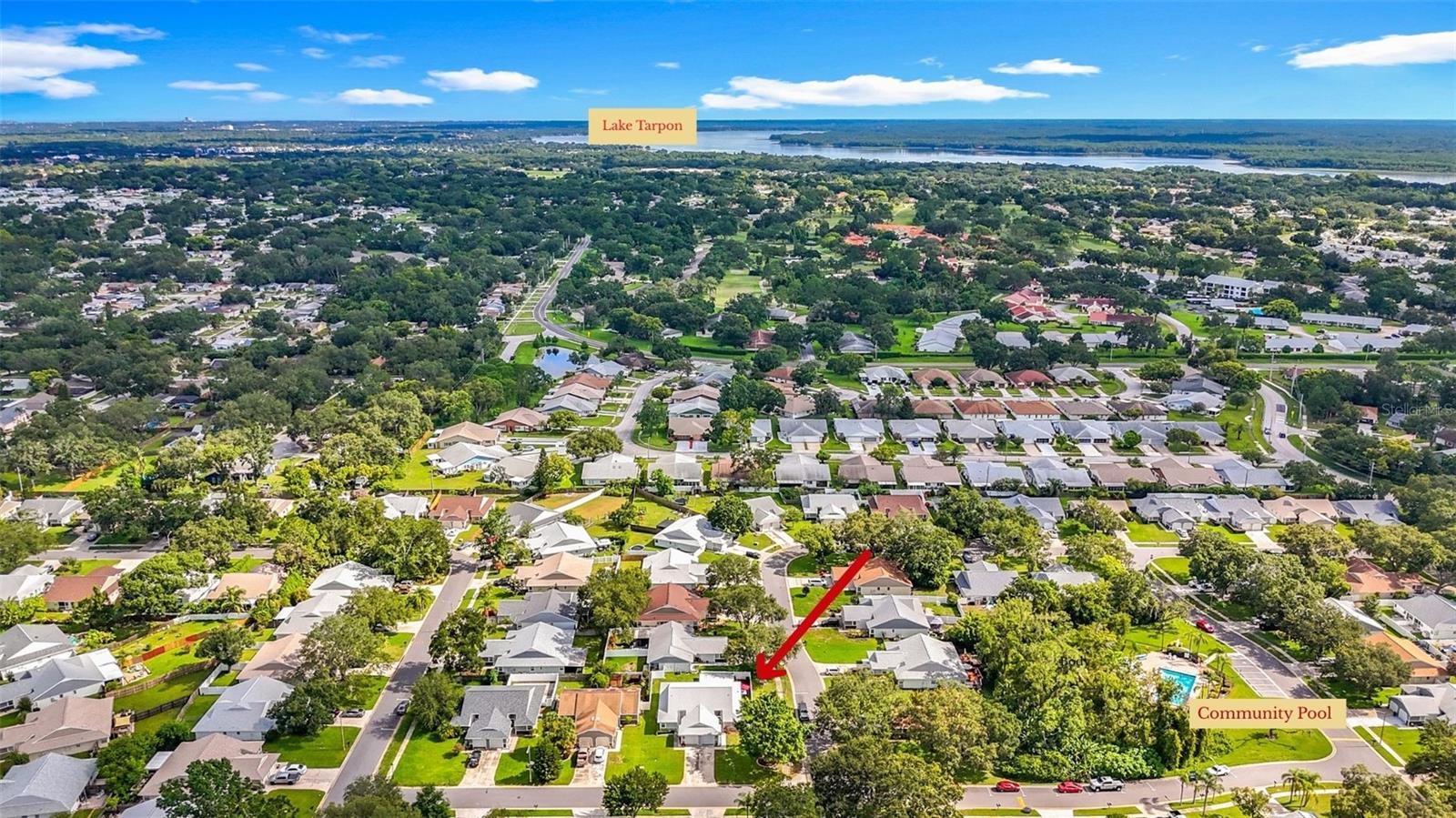Aerial View North - Lake Tarpon