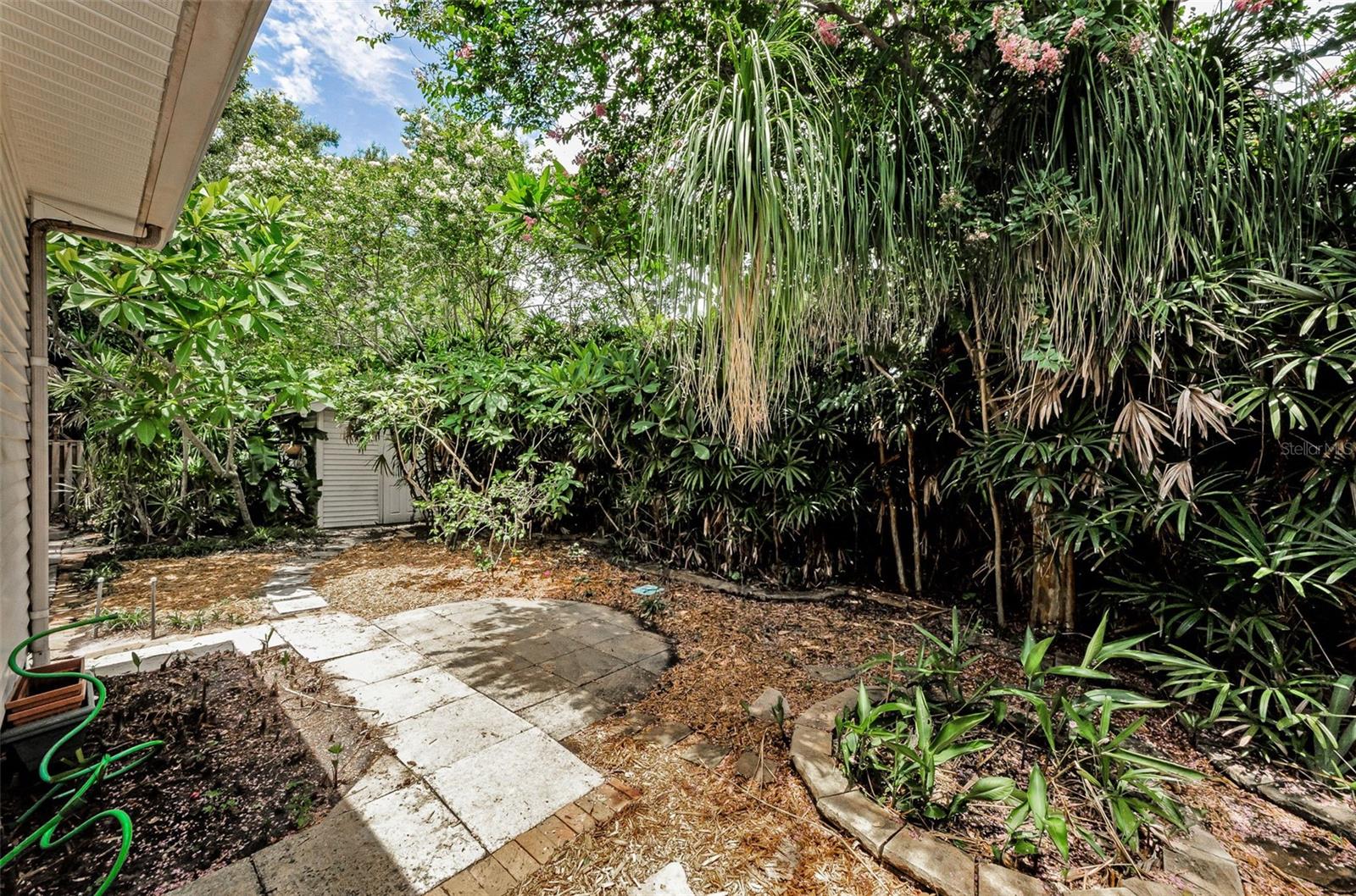 Backyard