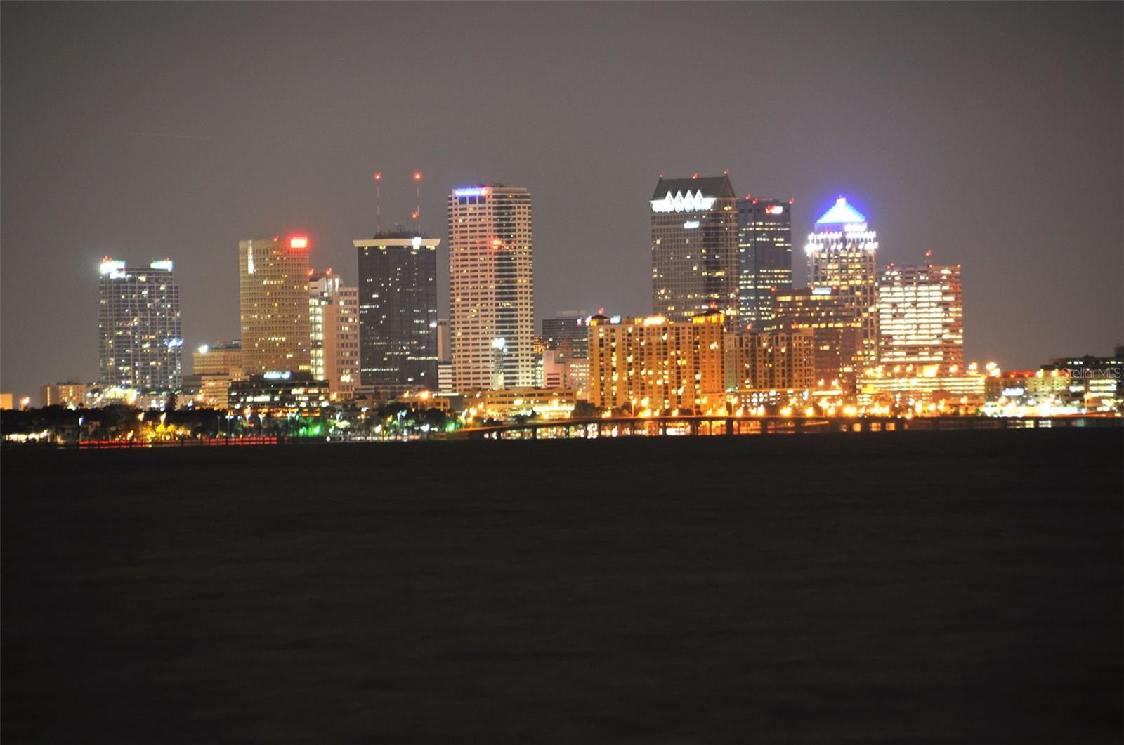 Tampa Bay Night View