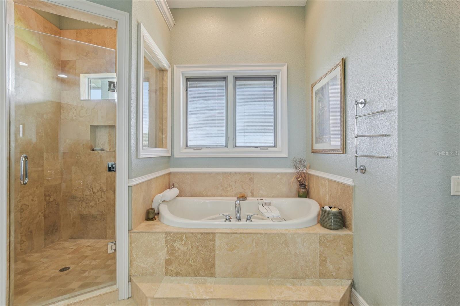 Large Walk in Shower and Jacuzzi Tub
