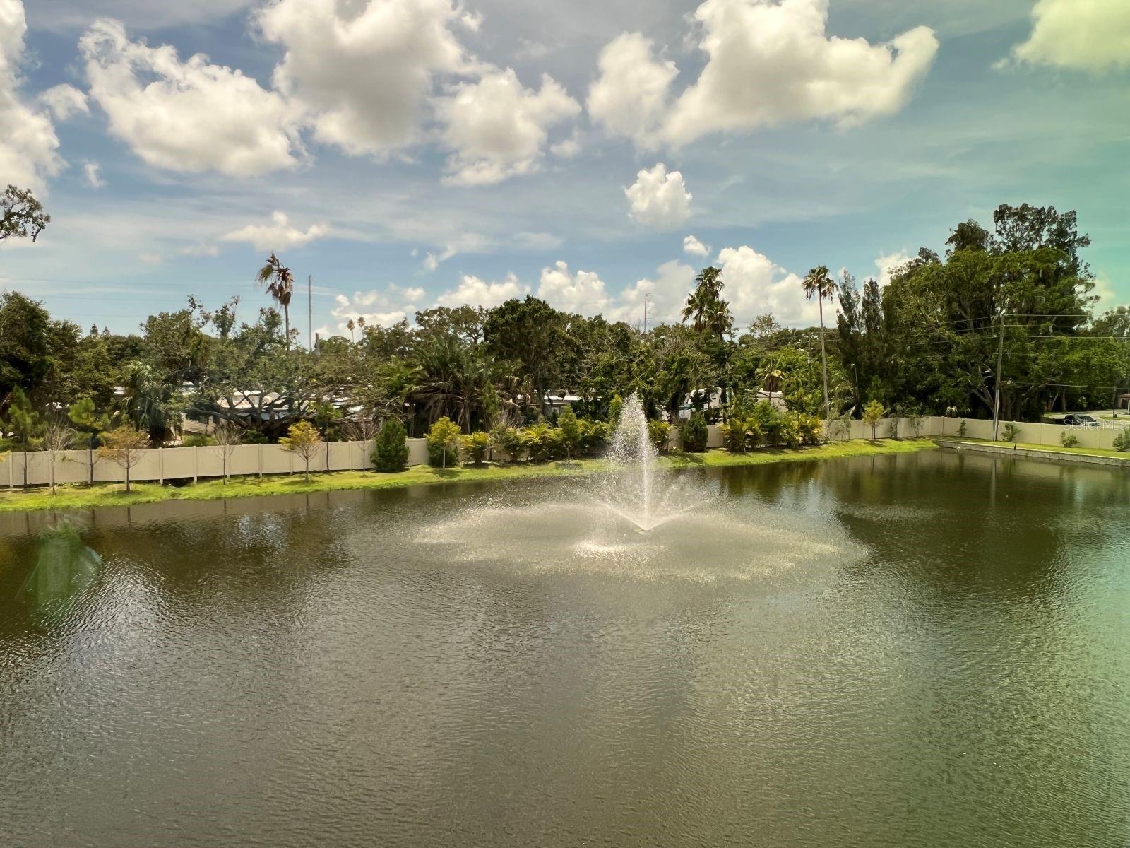 View from Primary