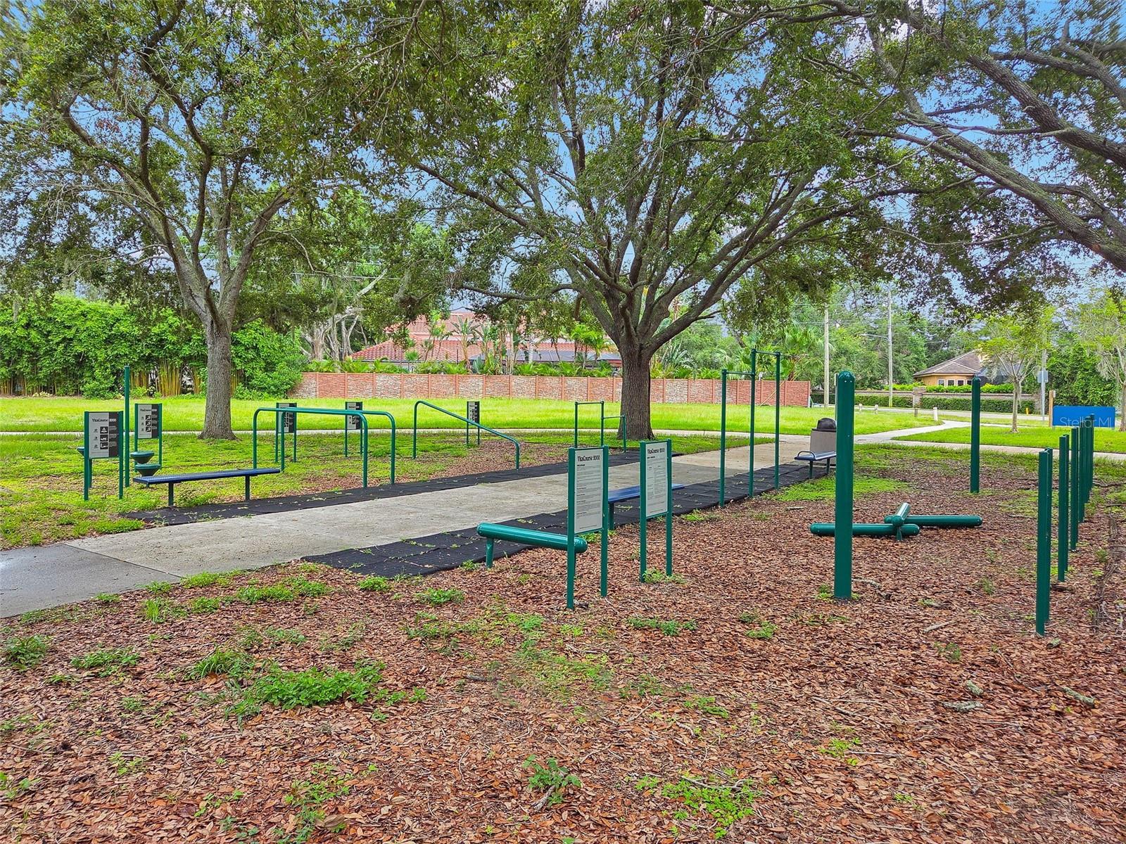 Exercise Path