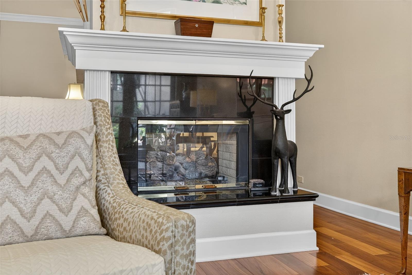 Gas fireplace