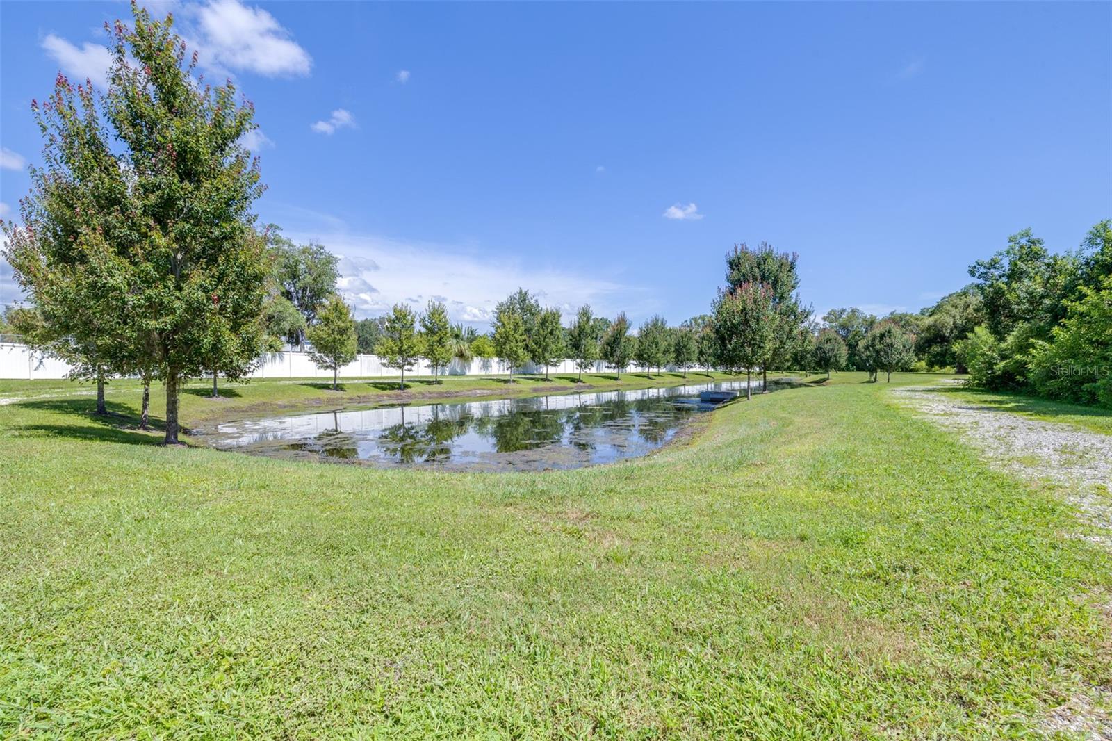pond view from the house