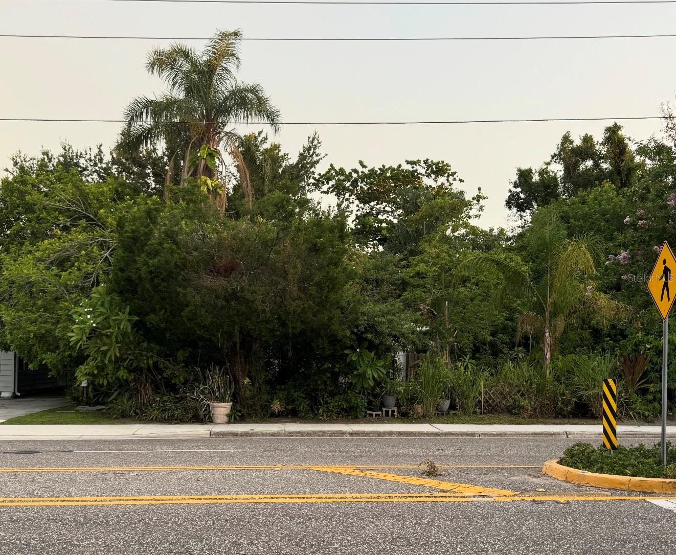 Double Lot with mature trees and plants.