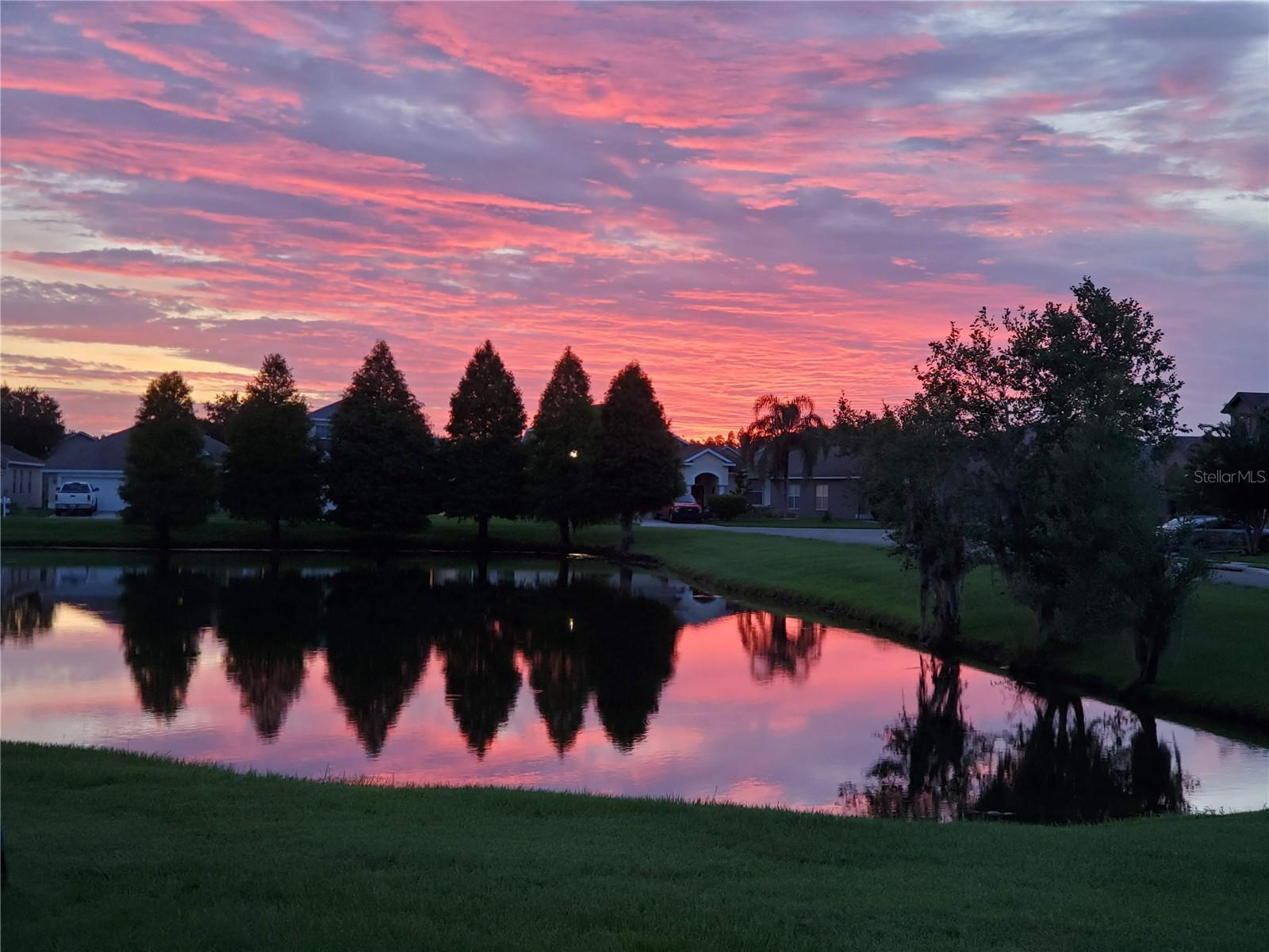 VIEW FROM BACKYARD