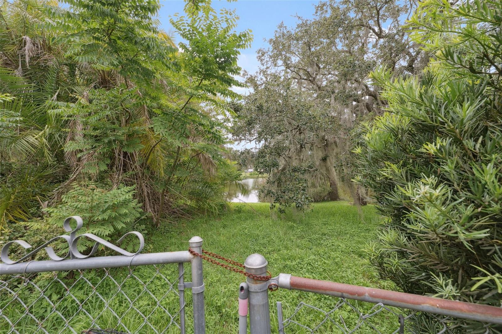 Rear Yard
