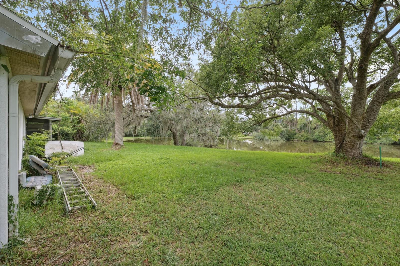 Rear Yard