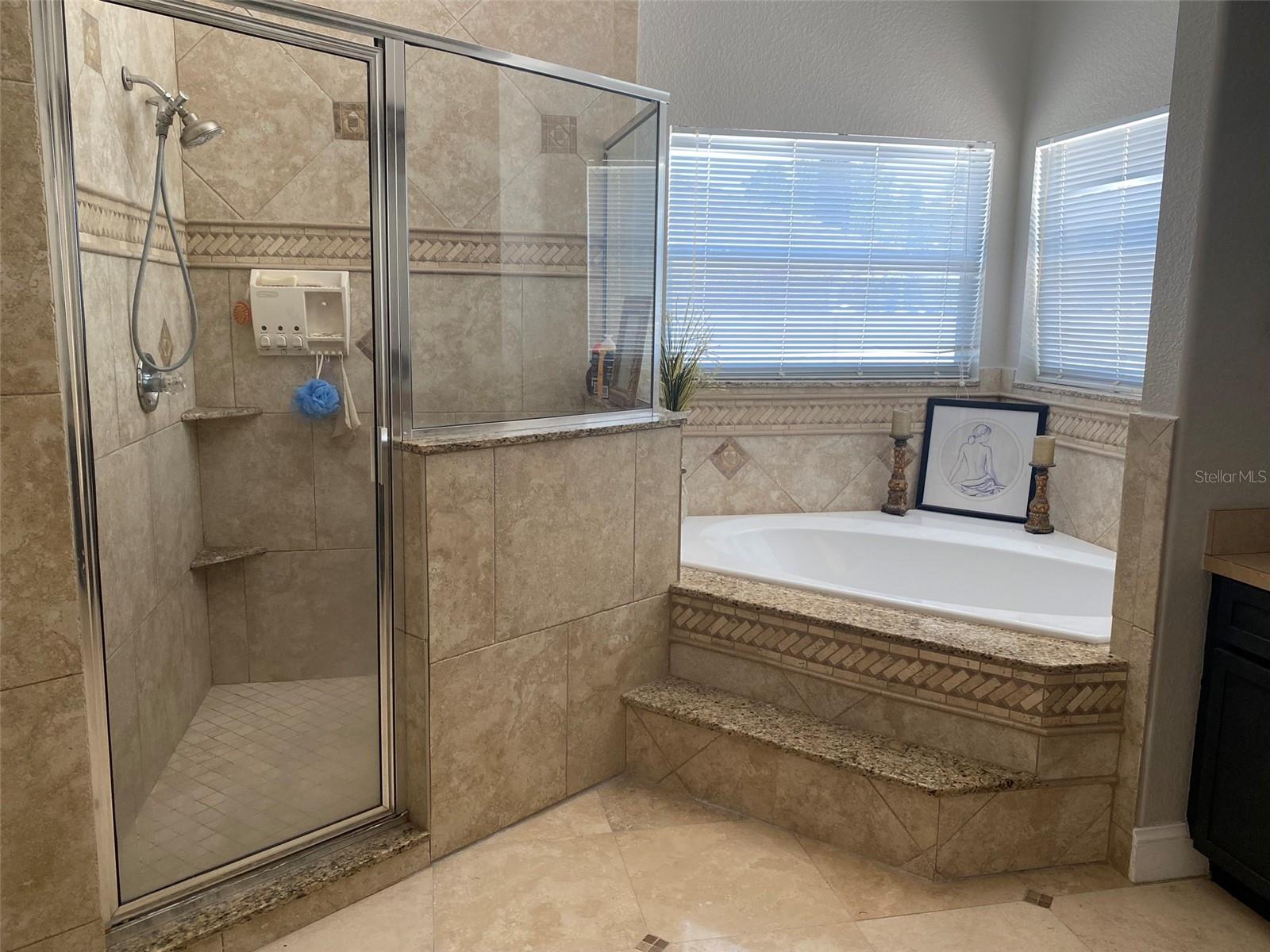 GARDEN TUB AND SEPARATED SHOWER