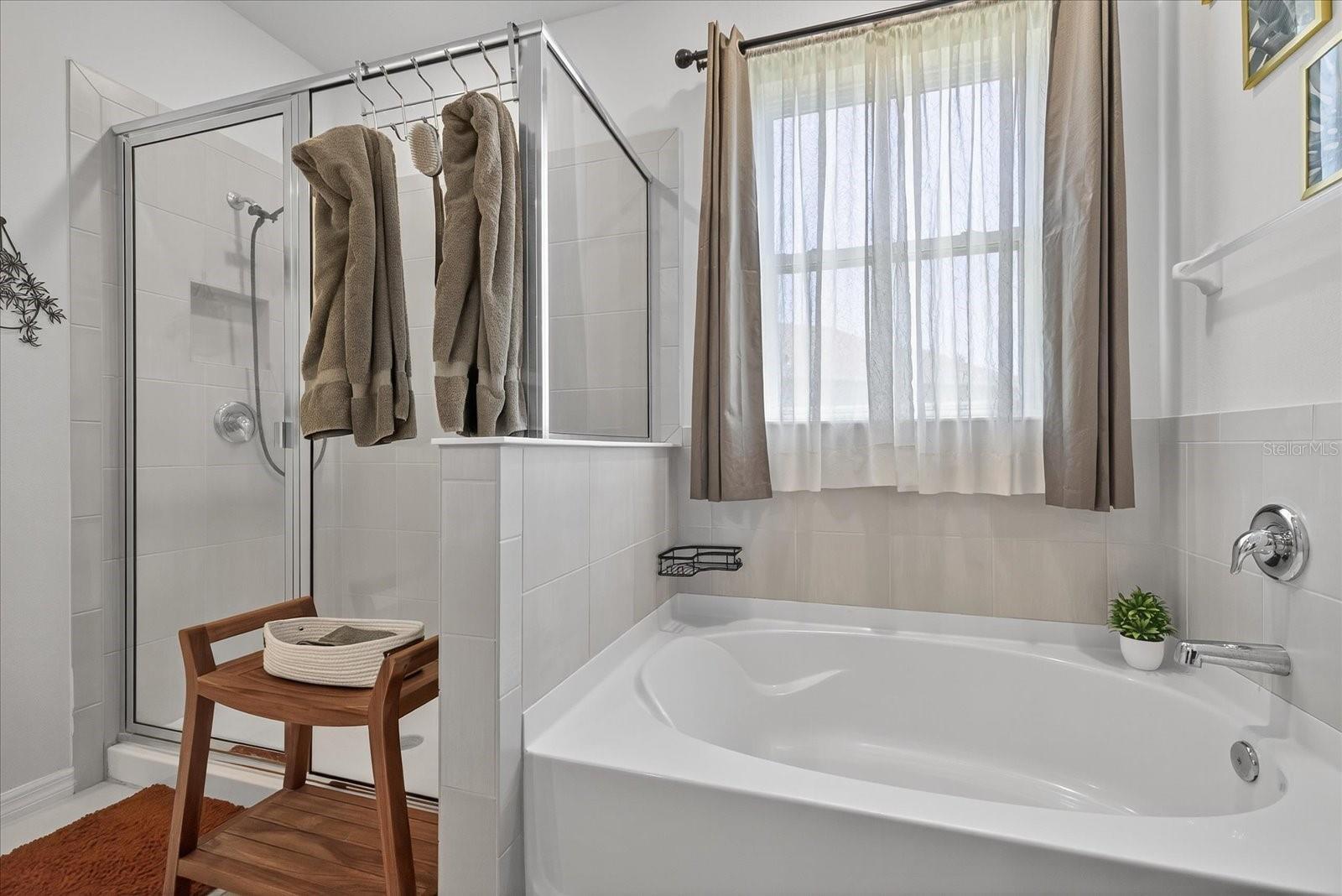 Stand up shower AND garden tub