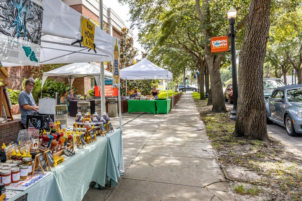 Downtown New Port Richey