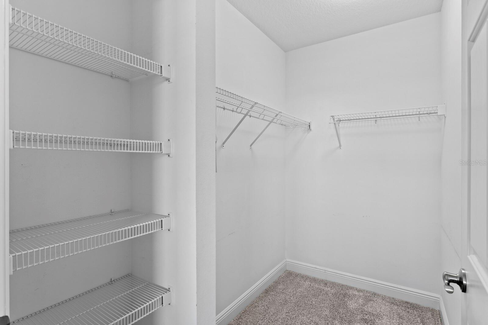 Bedroom #2 Walk-in closet