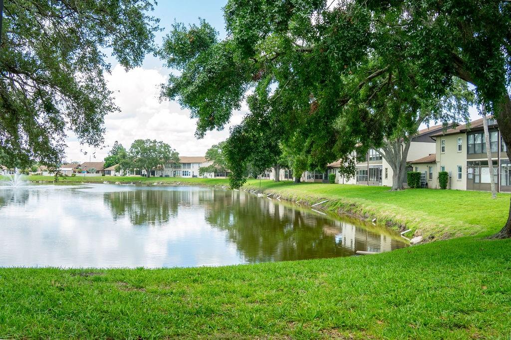 pond view