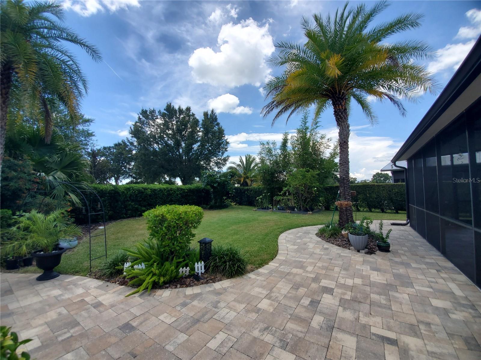 Backyard
