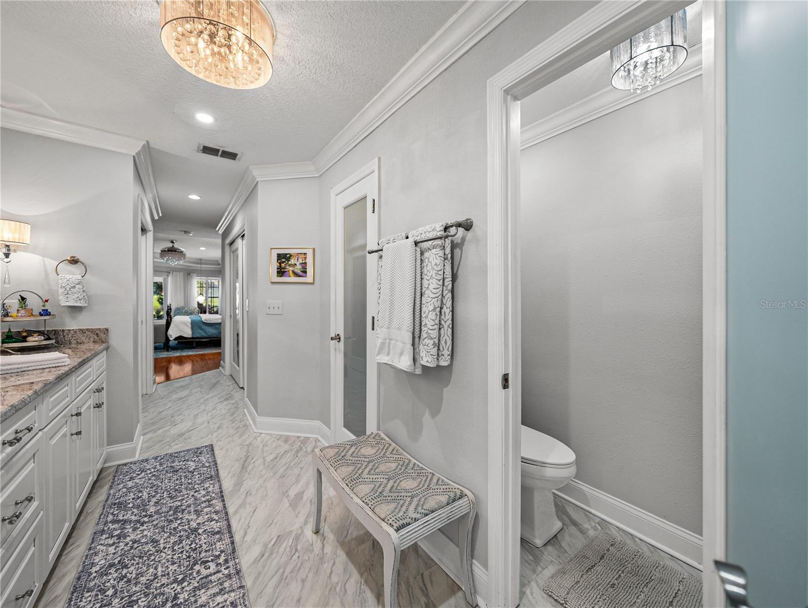 Fully Remodeled Primary Bath with Separate Toilet Room