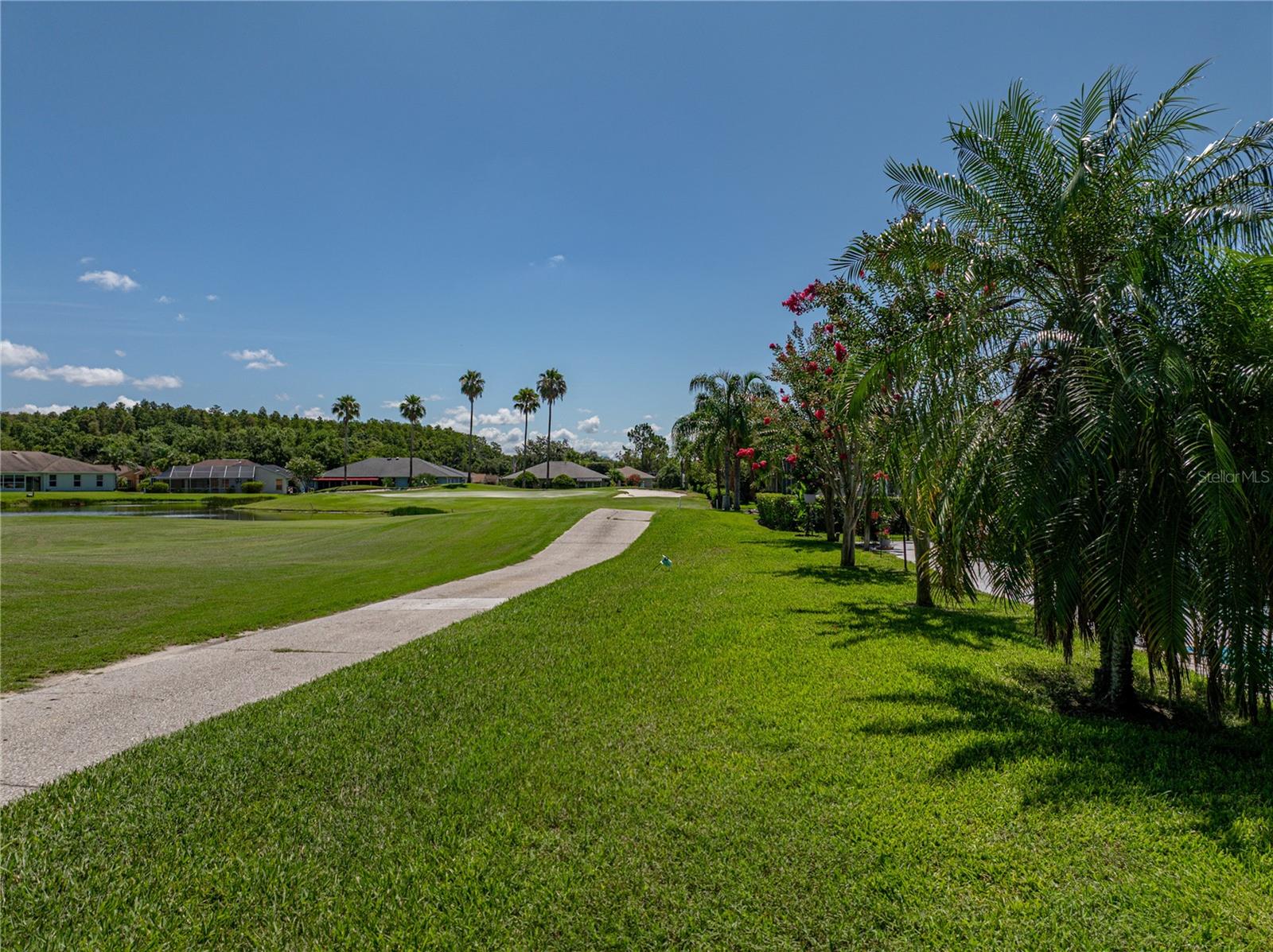 Rear Golf Course Views