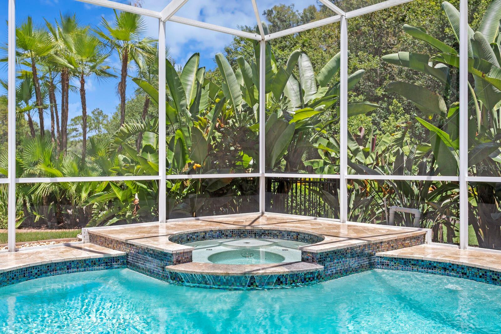 HEATED POOL WITH SPA