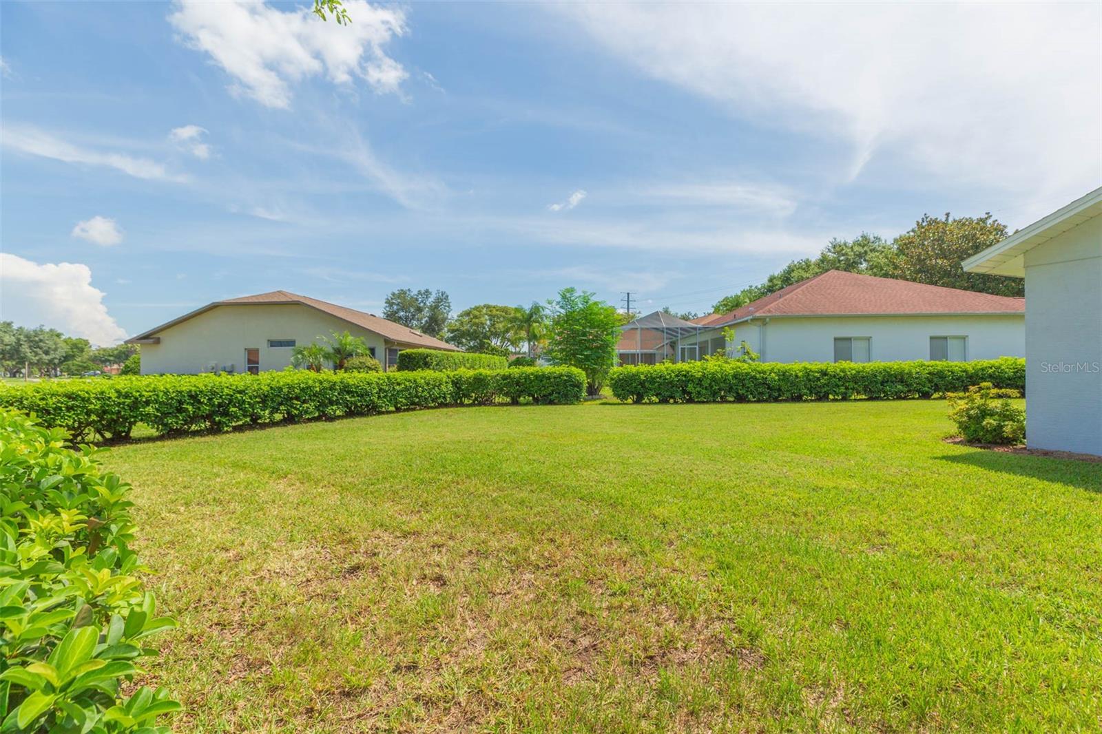 Spacious yard with live  Viburnum fence