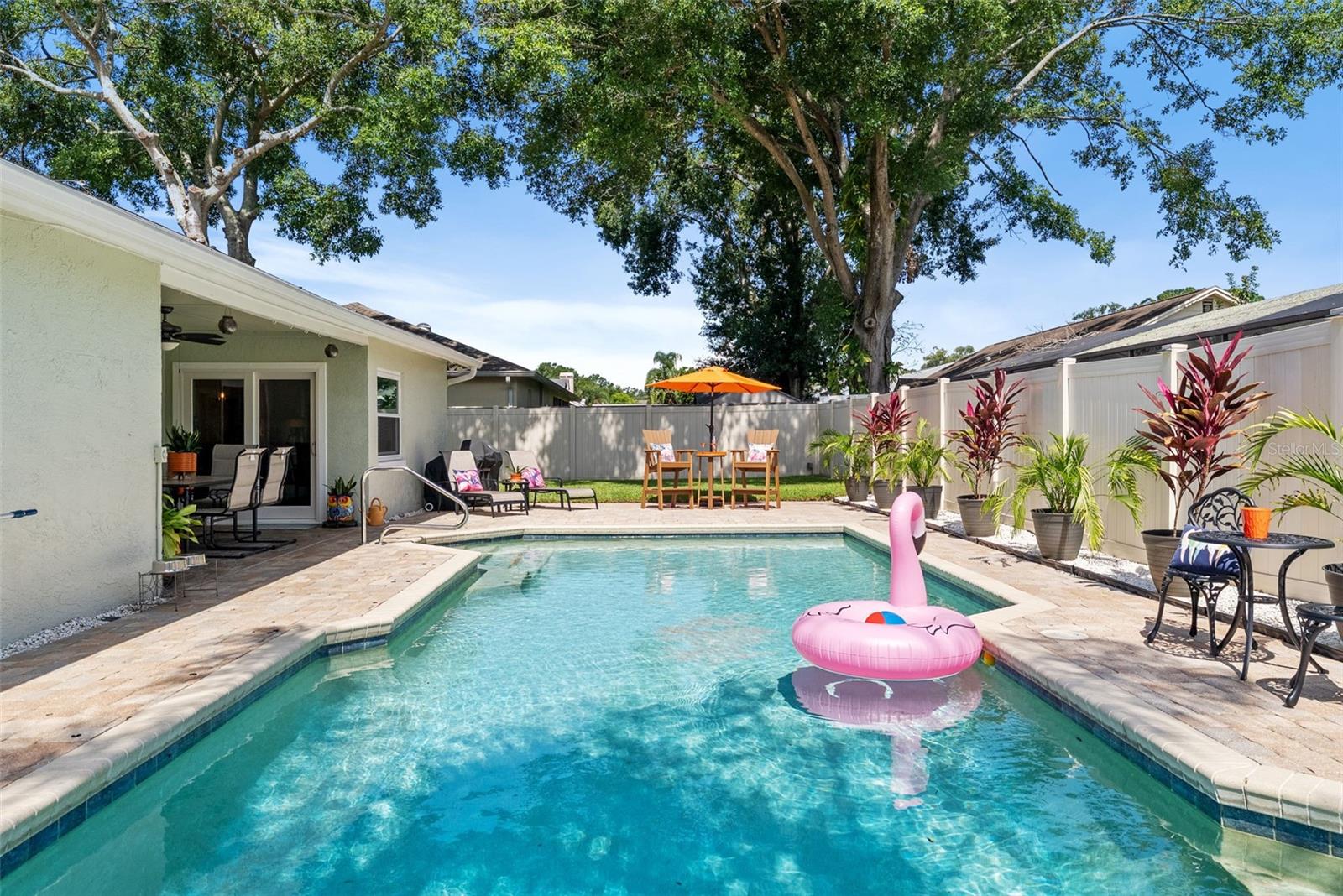 Daylight est view exterior backyard