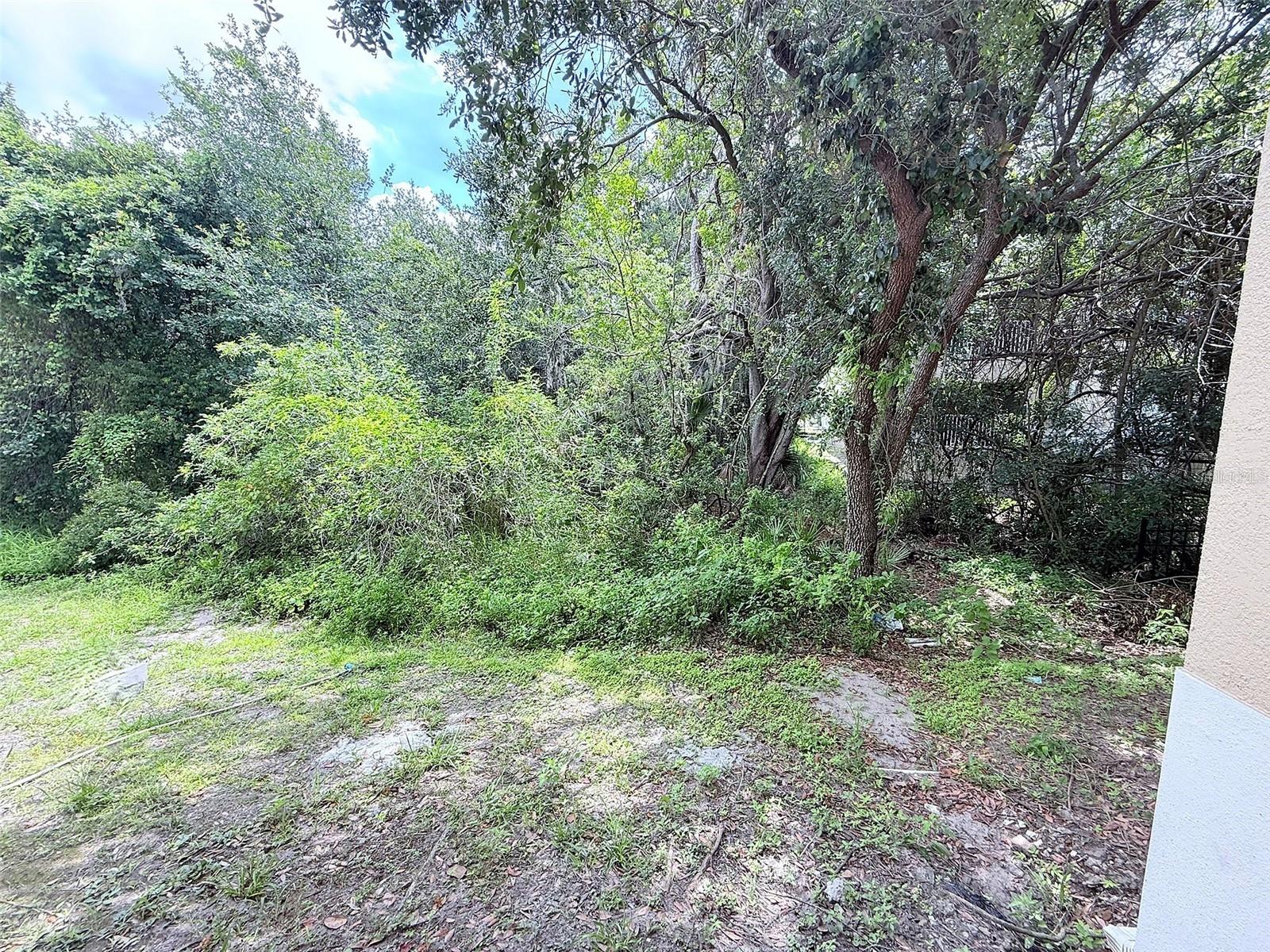 View from porch