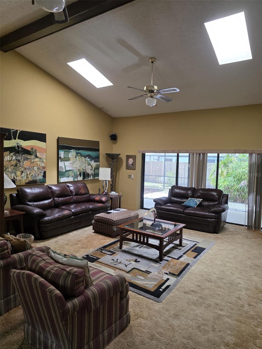 Living/Family Room with view of Sky Lights