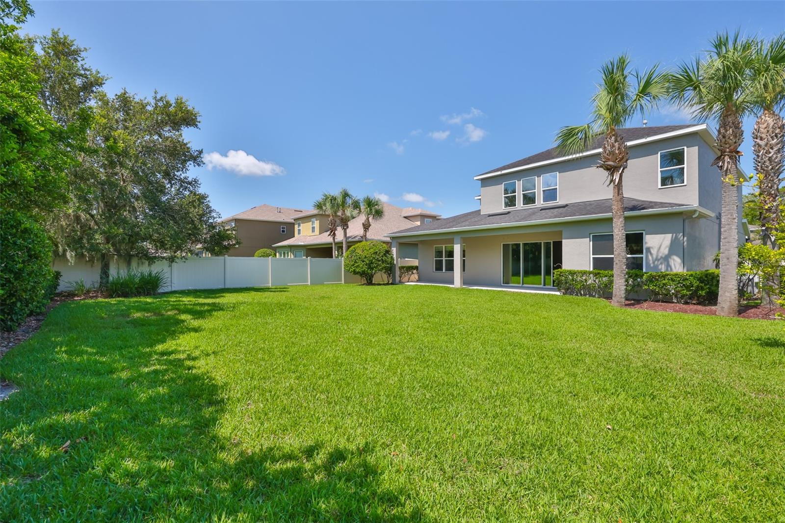 Huge lot backyard