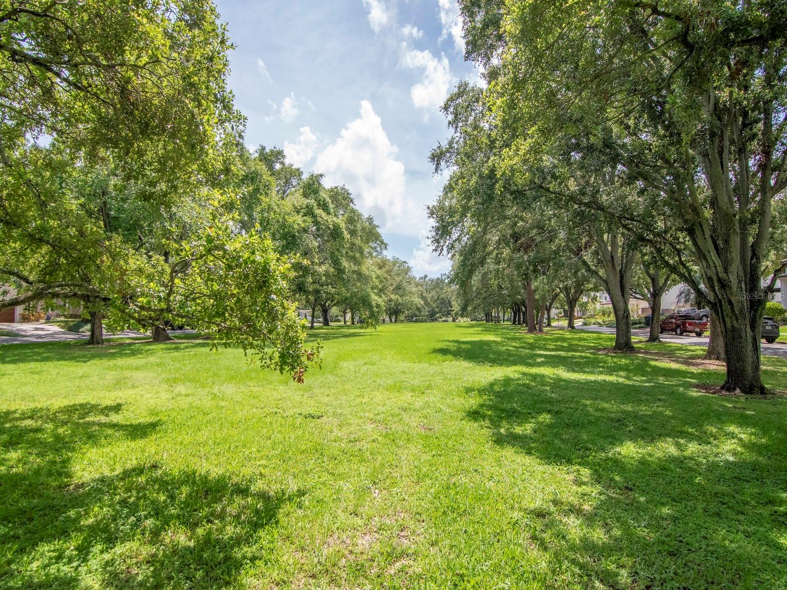 Neighborhood Park at the end of the street.