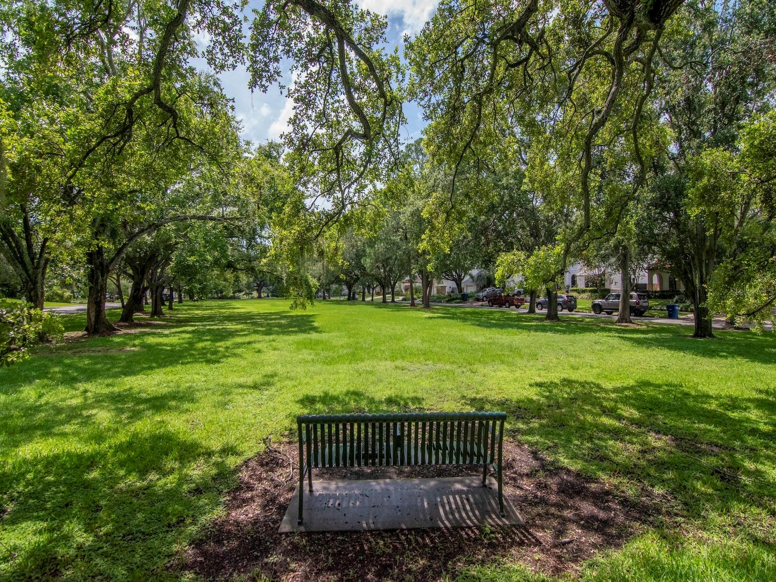 Neighborhood Park at the end of the street