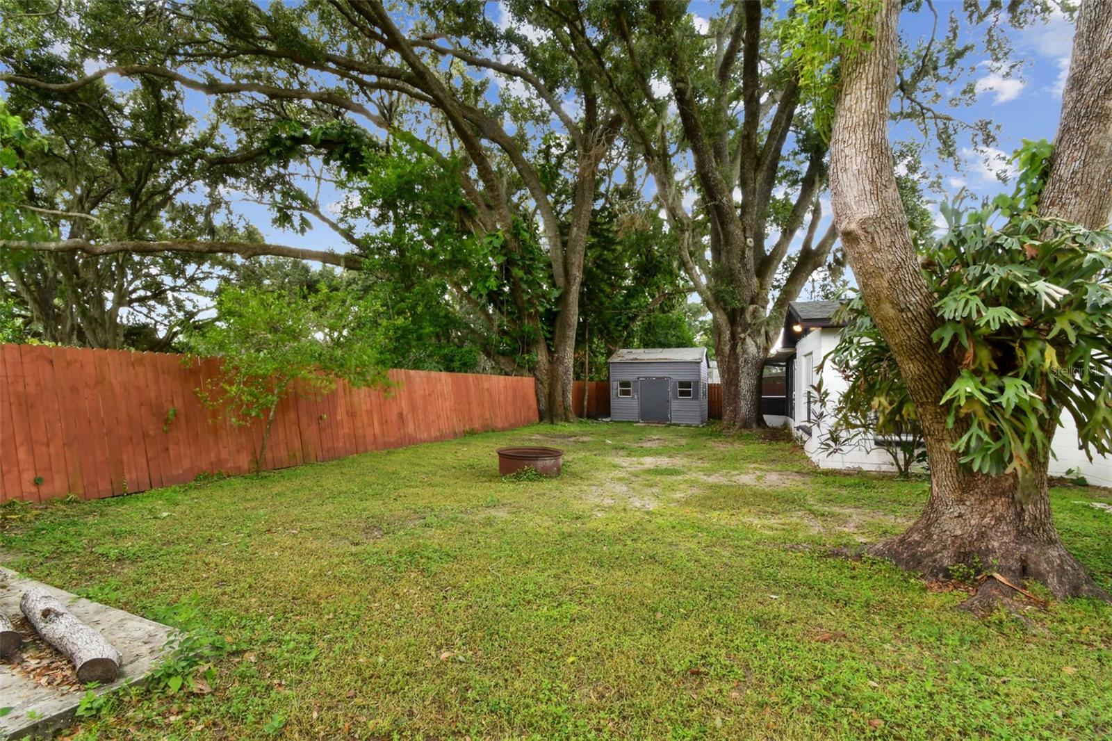 Very large backyard
