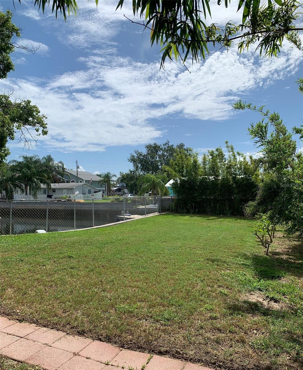 View of backyard